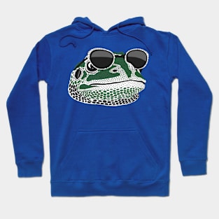 Cool Frog with Sunglasses Hoodie